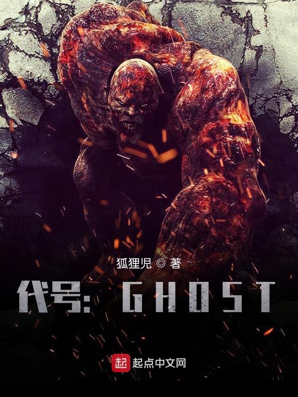 代号:GHOST