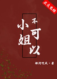 小姐,不可以