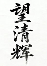 望清辉(女尊np)