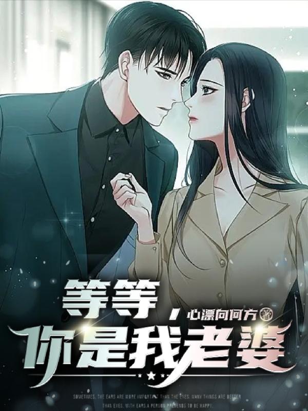 等等,你是我老婆